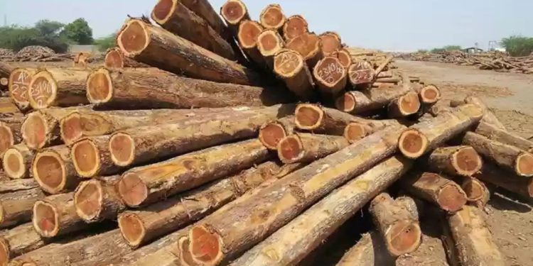 sagwan wood to be used for making furniture in government delhi office