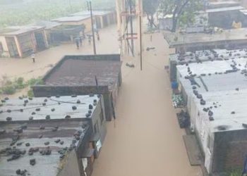 53 people died in marathwada due natural disaster