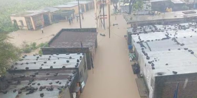 53 people died in marathwada due natural disaster