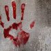 man murdered wife in chandrapur