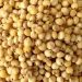 timeline extended for Sorghum purchase of farmers