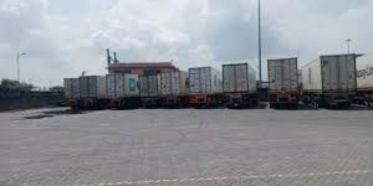 Onion traders claim containers stuck at port as custom system yet to be updated