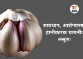 Are you consuming Chinese garlic India on alert know Why it is harmful for you