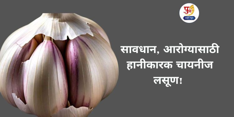 Are you consuming Chinese garlic India on alert know Why it is harmful for you