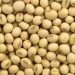 farmers in crisis as soyabean prices fall down