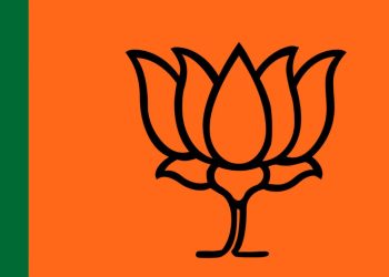 BJP 17 candidate contesting election on NCP and shivsena AB form