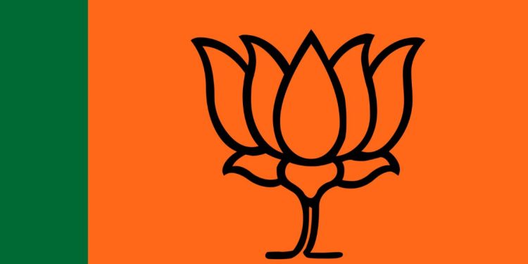 BJP 17 candidate contesting election on NCP and shivsena AB form