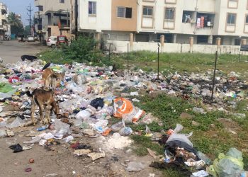 garbage still on same places after ten days in loni kalbhor and kadamwakvasti Pune