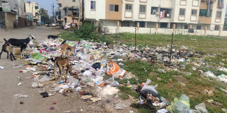 garbage still on same places after ten days in loni kalbhor and kadamwakvasti Pune