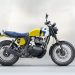 Royal Enfield Interceptor Bear 650 unveiled; India launch very soon