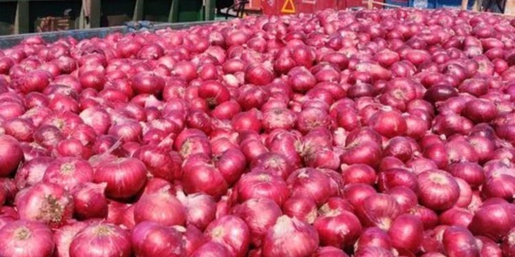 old onion gets high price new mumbai apmc