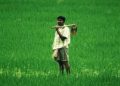 Pradhan Mantri Kisan Samman Nidhi guidelines changed