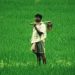 Pradhan Mantri Kisan Samman Nidhi guidelines changed