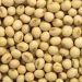 soyabean arrival increased at akola marketyard