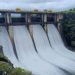 water release from bhama askhed for rabbi season pune