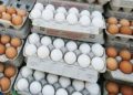 eggs price hike during winter reason