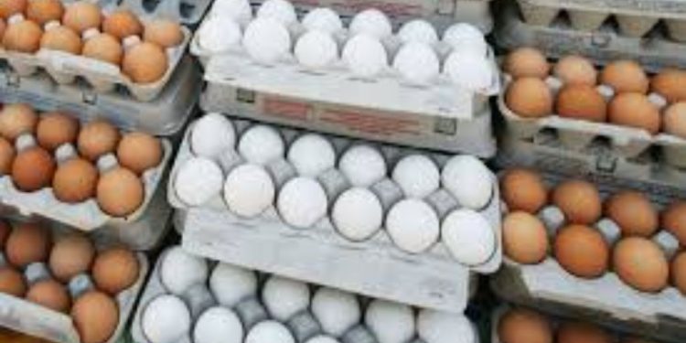 eggs price hike during winter reason