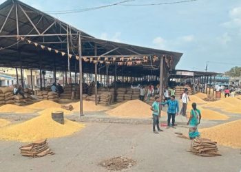 farmers in difficulties as soyabean price dropped