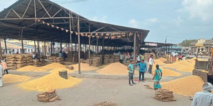 farmers in difficulties as soyabean price dropped