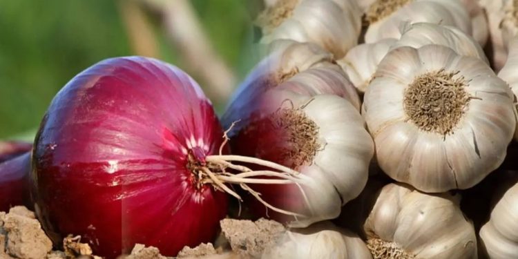 Onion and garlic prices soar across markets in maharashtra