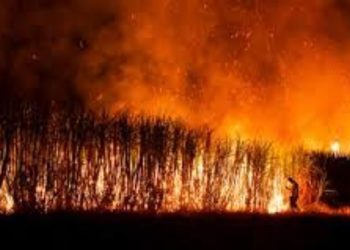 Four acre sugarcane farm caught with fire in shirur pune