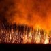 Four acre sugarcane farm caught with fire in shirur pune