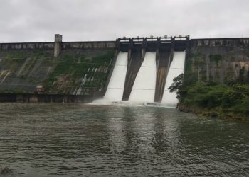 Water released for rabbi season through pimpalgaon joge canal junnarpune