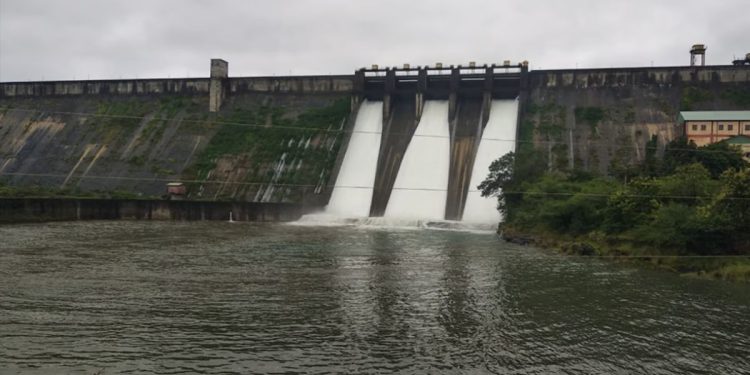 Water released for rabbi season through pimpalgaon joge canal junnarpune