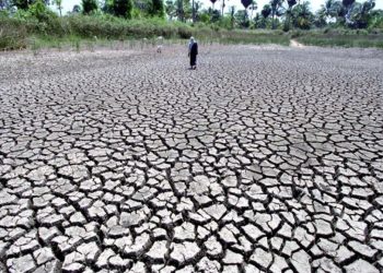 More than 77% of earth's land became drier in last 30 years: United Nations report