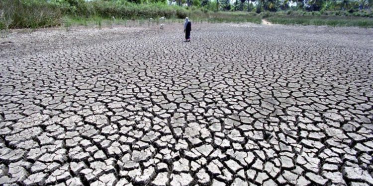 More than 77% of earth's land became drier in last 30 years: United Nations report