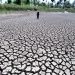 More than 77% of earth's land became drier in last 30 years: United Nations report