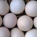 Gavran Eggs price hiked in Pune due to winter