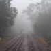 matheran temperature dropped tourist increased