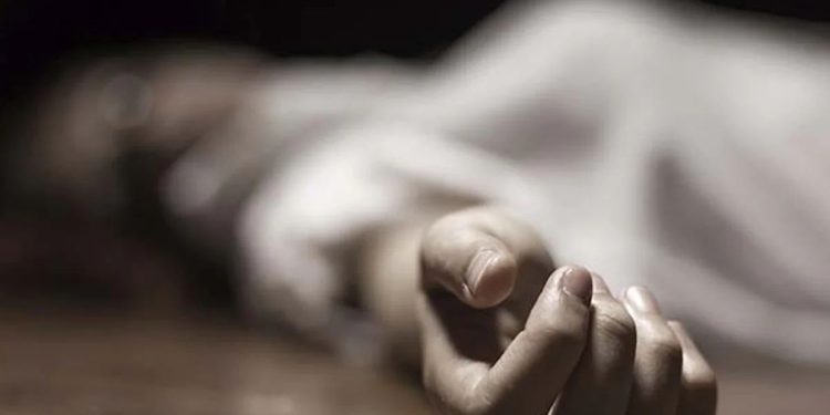 girl Committed suicide due to torture of friend chakan Pune