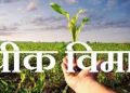 Two people withdraw crop insurance on NA Plot in chandwad Nashik