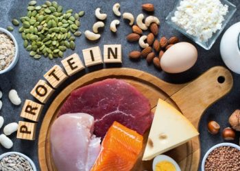 know how to get proteins for body health news