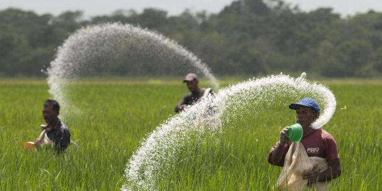 hike in fertiliser prices in new year farmers in trouble