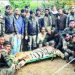 injured tiger caught and treated in chandrapur