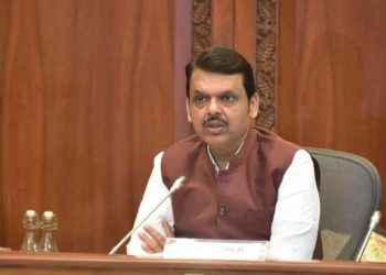 CM Devendra Fadanvis commented on budget 2025