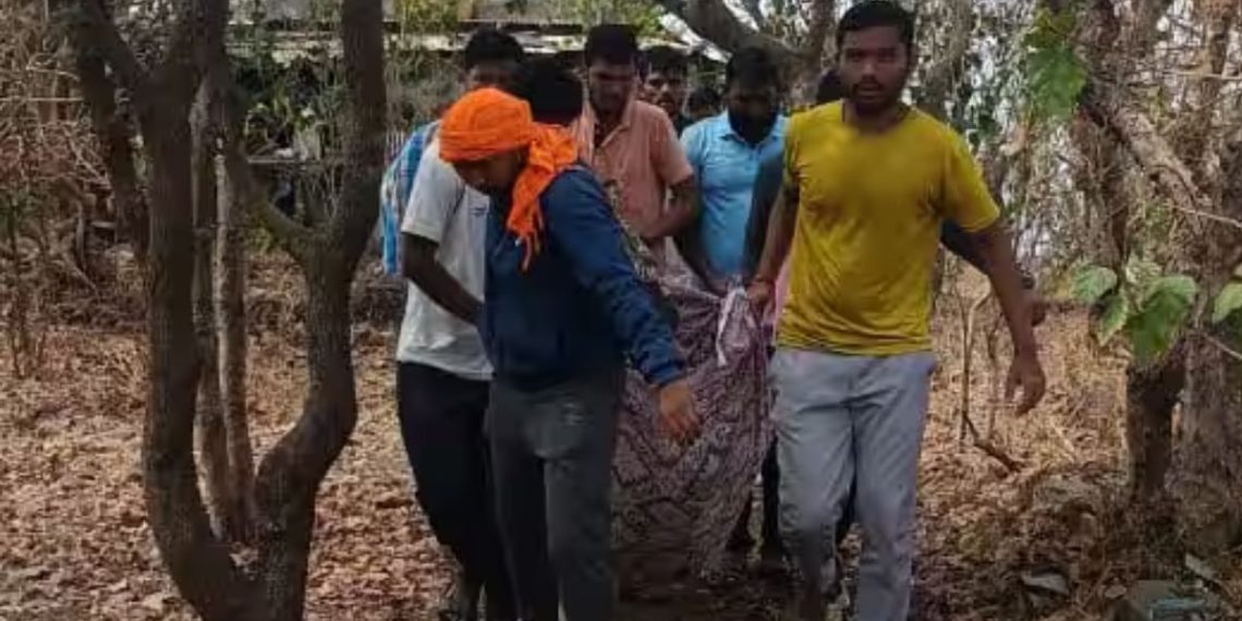 six people injured in honey bee attack in wai satara