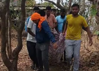 six people injured in honey bee attack in wai satara