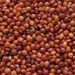 timeline extended for toor pulse purchase on MSP