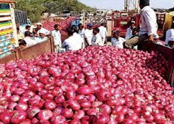 Govt withdraws 20 pc export duty on onion effective April 1