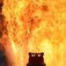 man died in cylinder blast in dhankawadi Pune