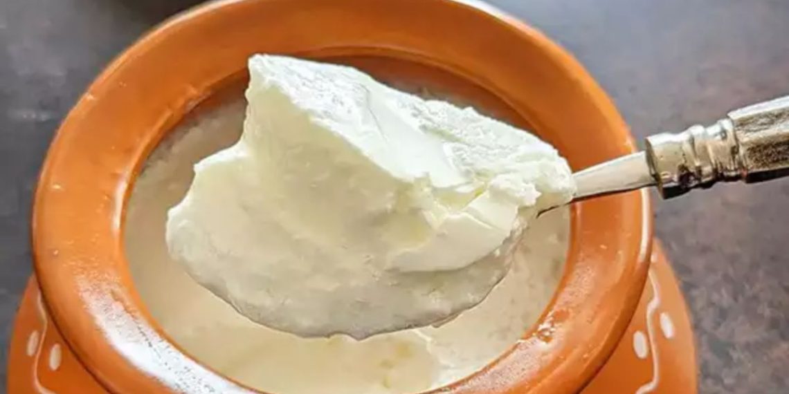Know the right method to eat curd health news