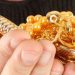 31 tola gold ornament stolen by brother in pimpri