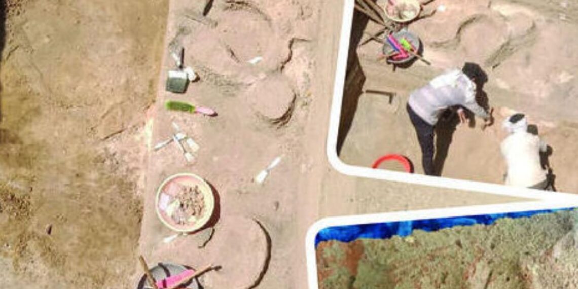 lokvasti found 3000 years ago in yavatmal pune