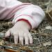 Eight years girl died in shikrapur as fall on tree Pune