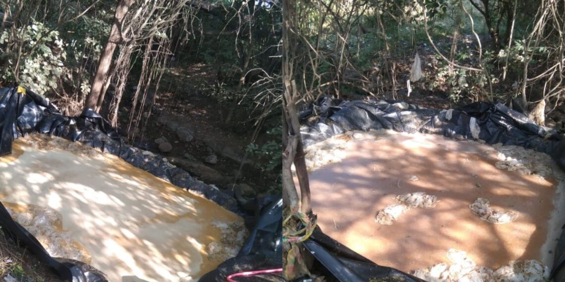 illegal business activities increased in uruli kanchan Pune
