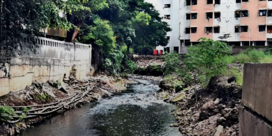 Pune Municipal Corporation scraps 200 crore tenders for flood protection walls